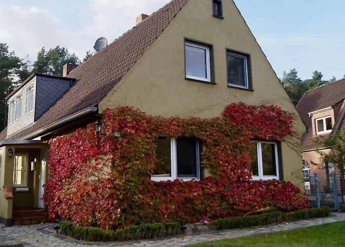 Ferienwohnung zwischen Lübeck und Travemünde